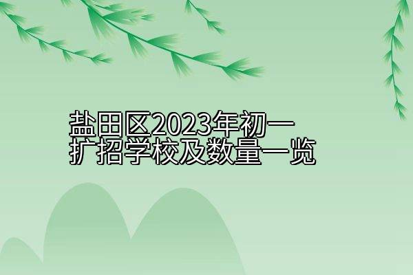 盐田区2023年初一扩招学校及数量一览