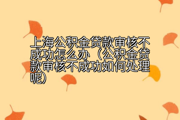 上海公积金贷款审核不成功怎么办（公积金贷款审核不成功如何处理呢）