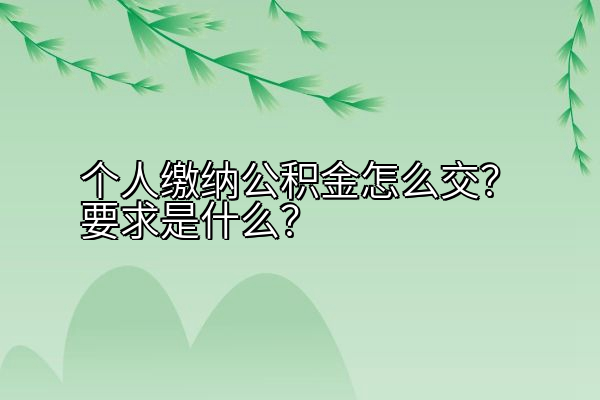 个人缴纳公积金怎么交？要求是什么？