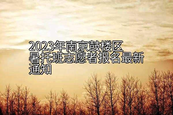 2023年南京鼓楼区暑托班志愿者报名通知
