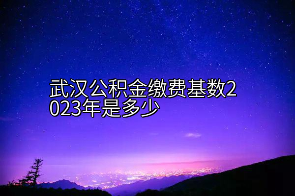 武汉公积金缴费基数2023年是多少