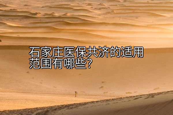 石家庄医保共济的适用范围有哪些？