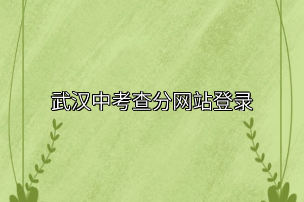 武汉中考查分网站登录