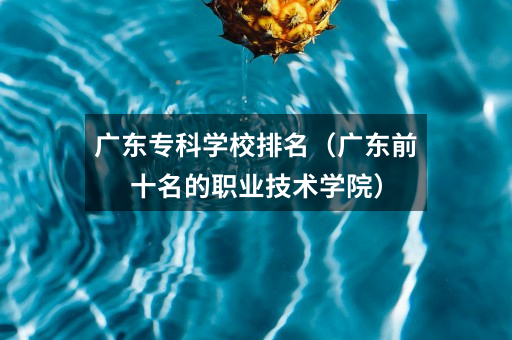 广东专科学校排名（广东前十名的职业技术学院）