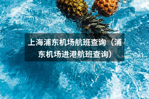 上海浦东机场航班查询（浦东机场进港航班查询）