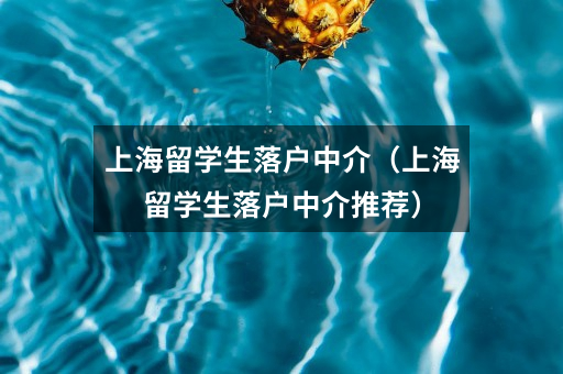 上海留学生落户中介（上海留学生落户中介推荐）