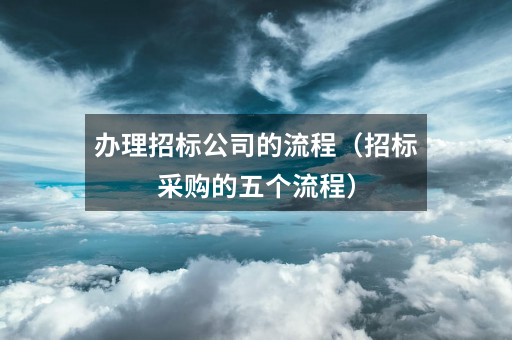 办理招标公司的流程(招标采购的五个流程)