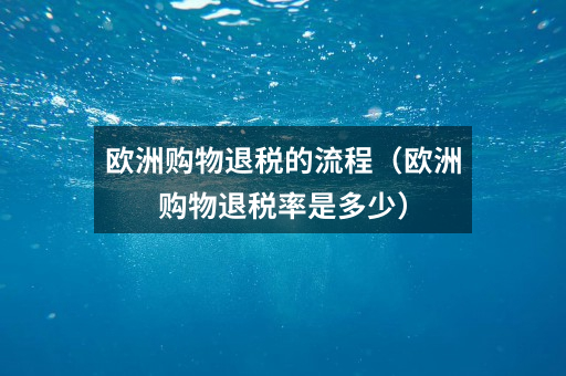 欧洲购物退税的流程(欧洲购物退税率是多少)
