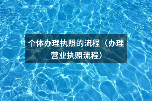 个体办理执照的流程(办理营业执照流程)