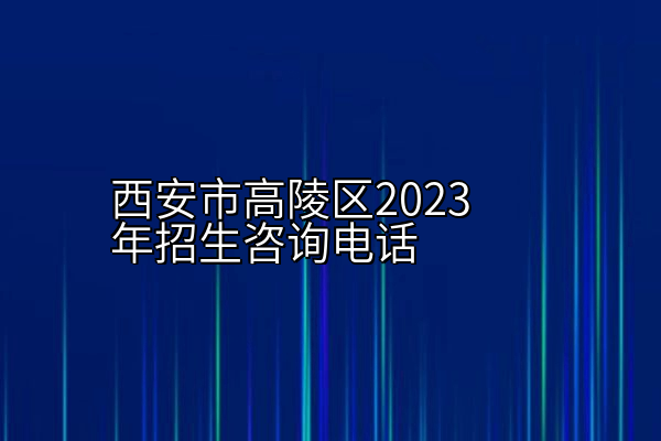 西安市高陵区2023年招生咨询电话