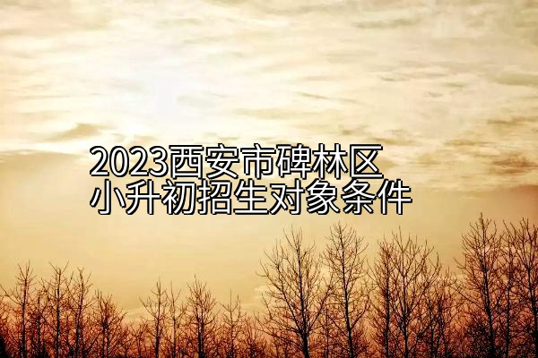 2023西安市碑林区小升初招生对象条件