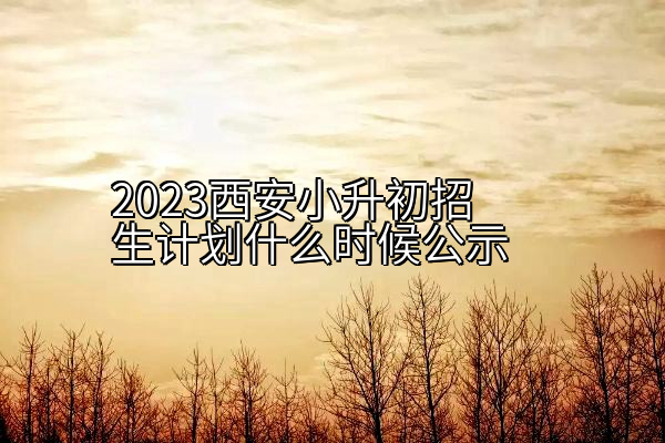 2023西安小升初招生计划什么时候公示