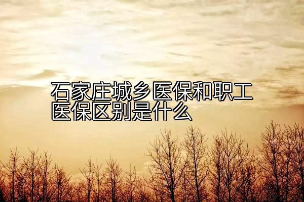 石家庄城乡医保和职工医保区别是什么