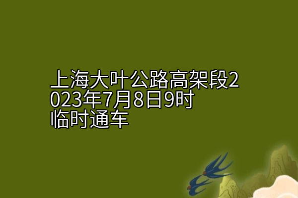 上海大叶公路高架段2023年7月8日9时临时通车