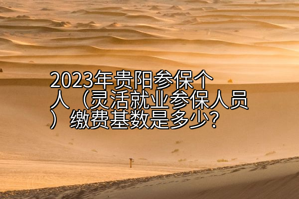 2023年贵阳参保个人（灵活就业参保人员）缴费基数是多少？