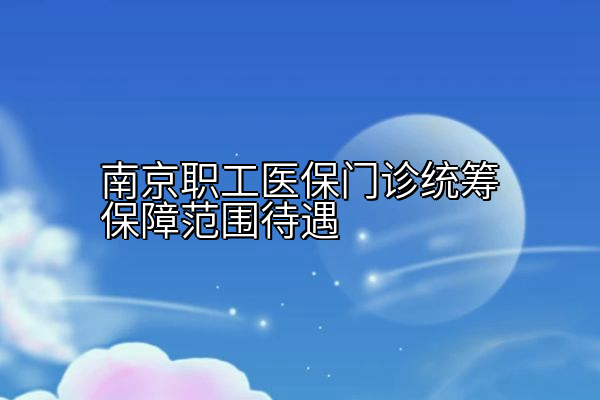 南京职工医保门诊统筹保障范围待遇