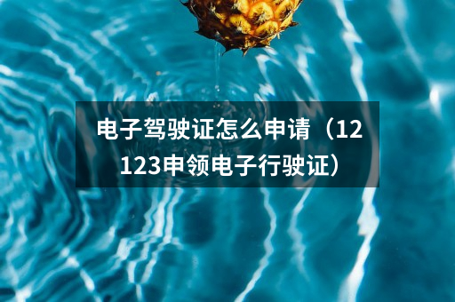 电子驾驶证怎么申请(12123申领电子行驶证)