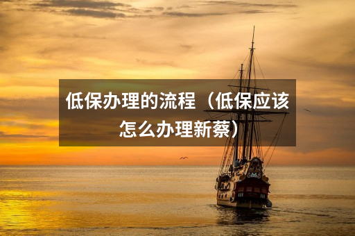 低保办理的流程(低保应该怎么办理新蔡)