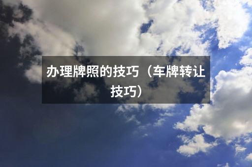 办理牌照的技巧(车牌转让技巧)