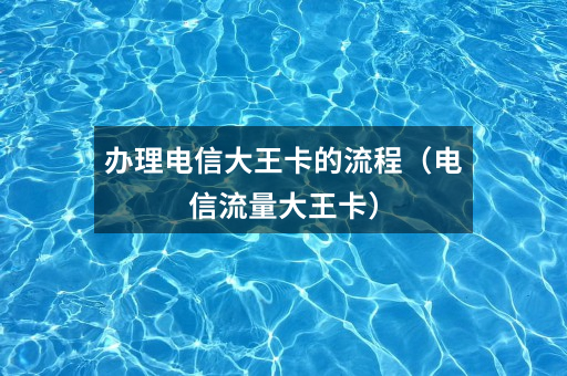 办理电信大王卡的流程(电信流量大王卡)
