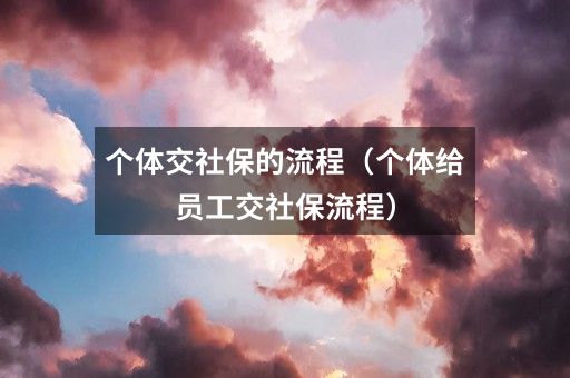 个体交社保的流程（个体给员工交社保流程）