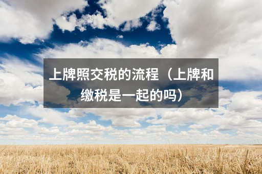上牌照交税的流程(上牌和缴税是一起的吗)