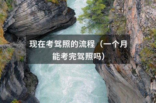 现在考驾照的流程(一个月能考完驾照吗)