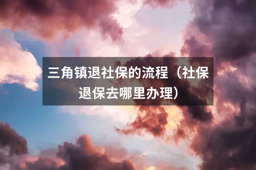 三角镇退社保的流程(社保退保去哪里办理)