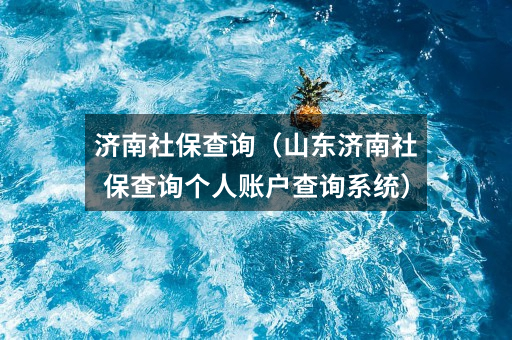 济南社保查询(山东济南社保查询个人账户查询系统)