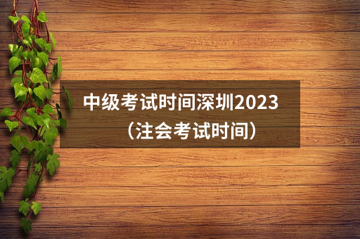 中级考试时间深圳2023(注会考试时间)