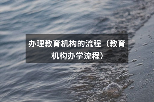 办理教育机构的流程（教育机构办学流程）