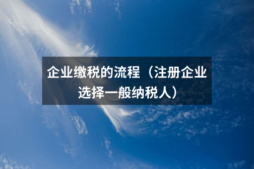 企业缴税的流程(注册企业选择一般纳税人)