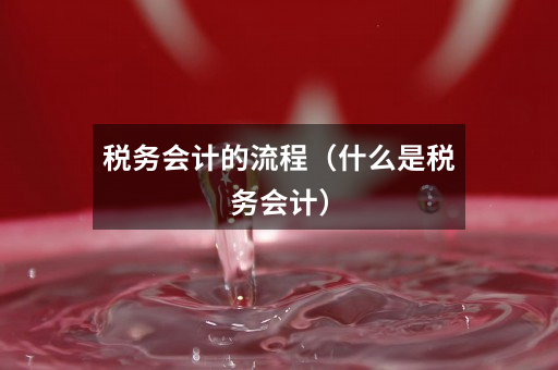 税务会计的流程(什么是税务会计)