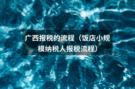 广西报税的流程(饭店小规模纳税人报税流程)