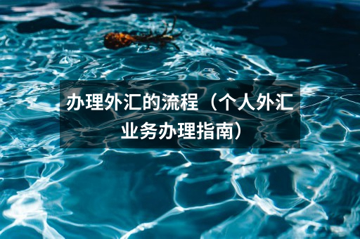 办理外汇的流程（个人外汇业务办理指南）