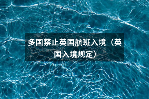 多国禁止英国航班入境（英国入境规定）