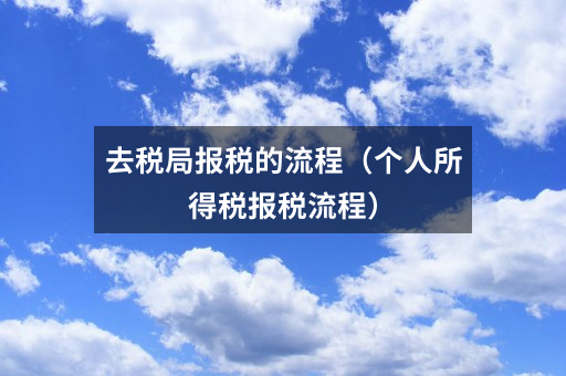 去税局报税的流程（个人所得税报税流程）