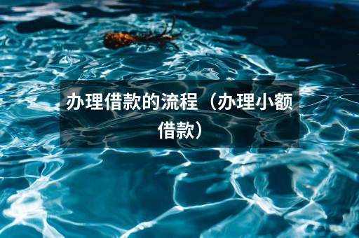 办理借款的流程(办理小额借款)