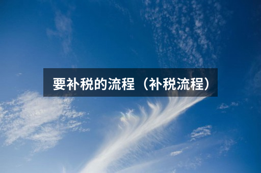 要补税的流程(补税流程)