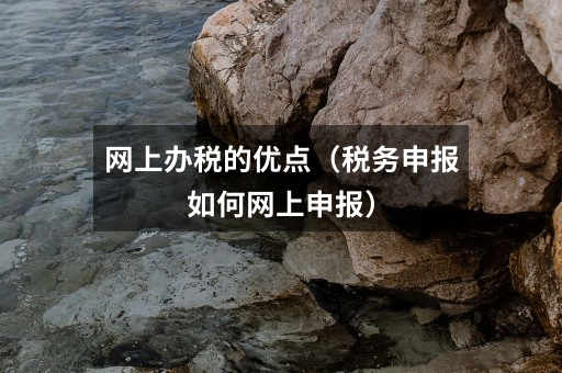 网上办税的优点（税务申报如何网上申报）
