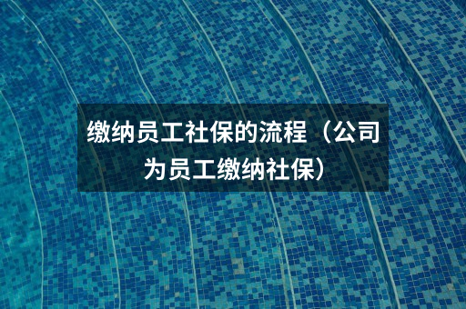 缴纳员工社保的流程(公司为员工缴纳社保)