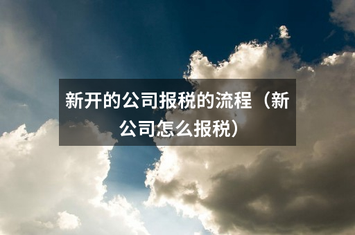 新开的公司报税的流程(新公司怎么报税)