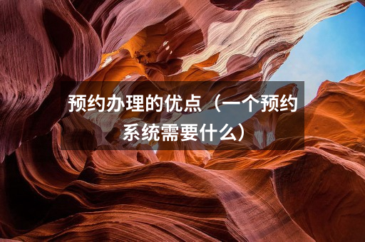 预约办理的优点(一个预约系统需要什么)