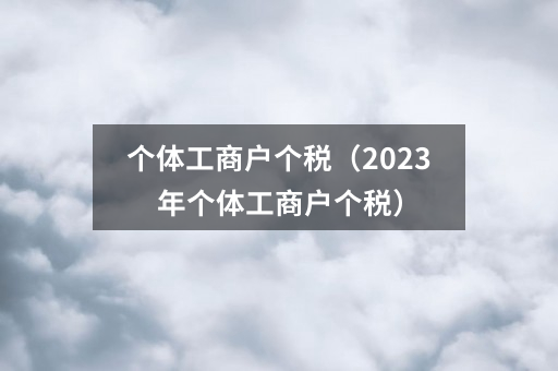 个体工商户个税(2023年个体工商户个税)