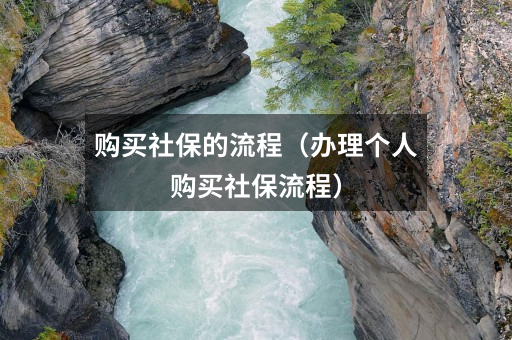 购买社保的流程(办理个人购买社保流程)