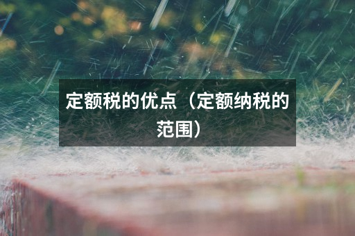 定额税的优点(定额纳税的范围)