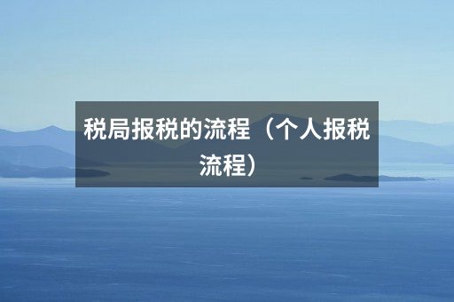 税局报税的流程(个人报税流程)
