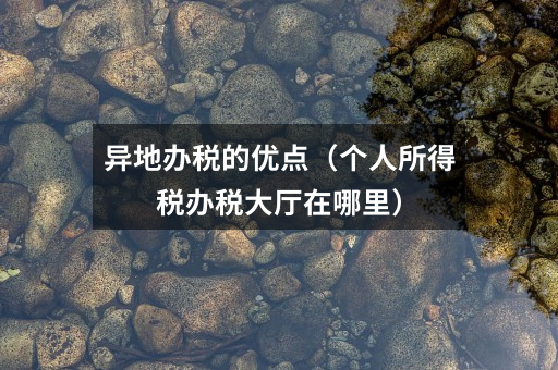 异地办税的优点(个人所得税办税大厅在哪里)