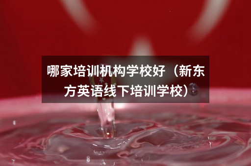 哪家培训机构学校好(新东方英语线下培训学校)