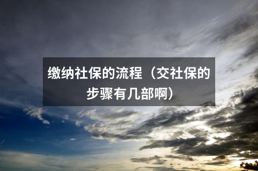 缴纳社保的流程(交社保的步骤有几部啊)